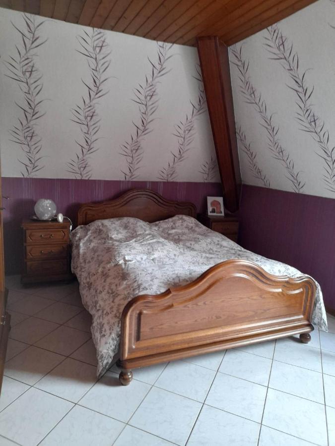 Gite Le Jardin De Hermolsheim. Alsace Tres Spacieux Mutzig Exterior foto